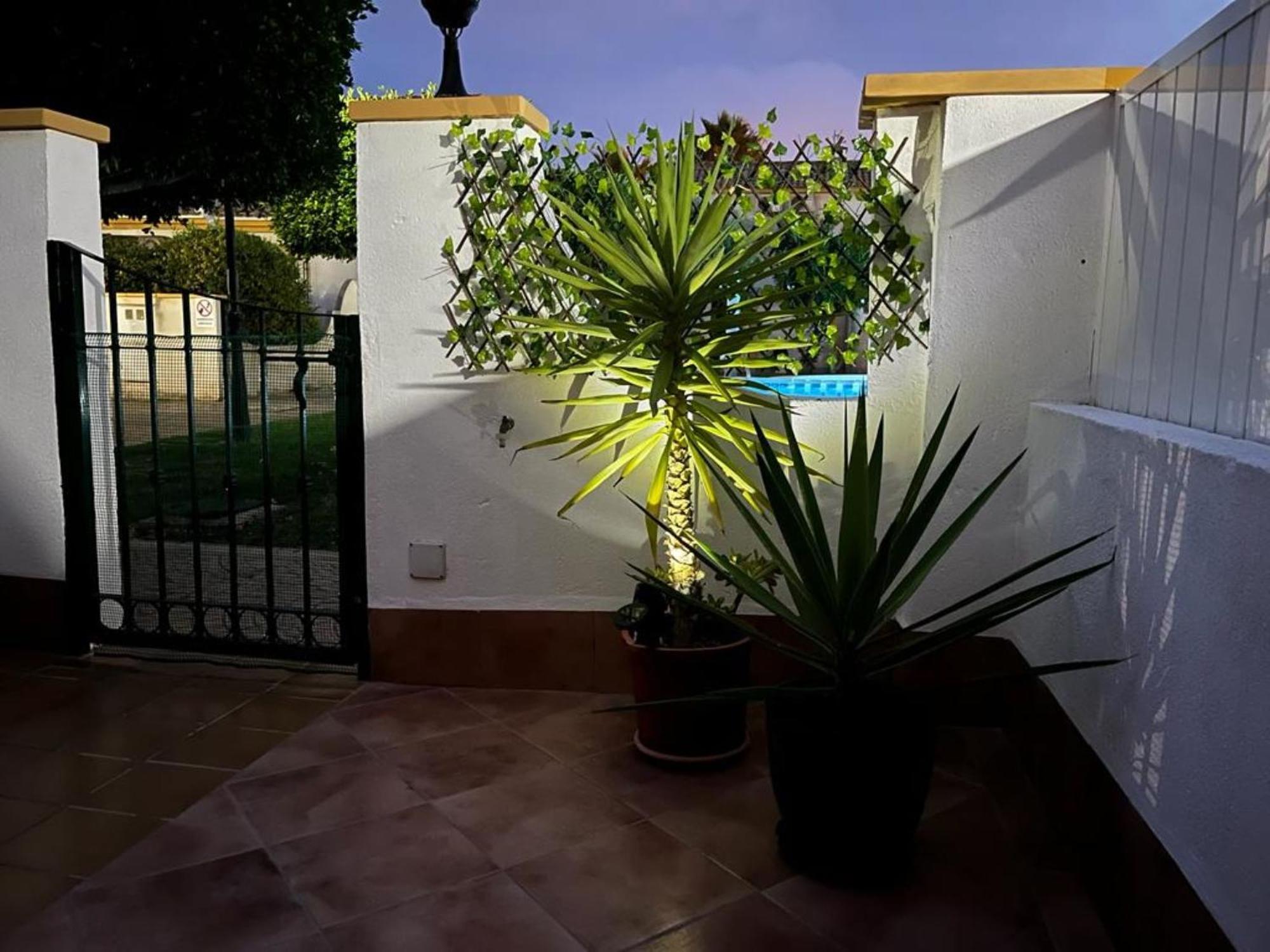 Apartamento "Margarita" Cabo Roig Eksteriør bilde
