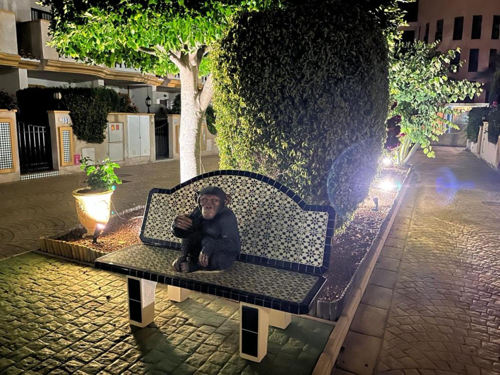 Apartamento "Margarita" Cabo Roig Eksteriør bilde