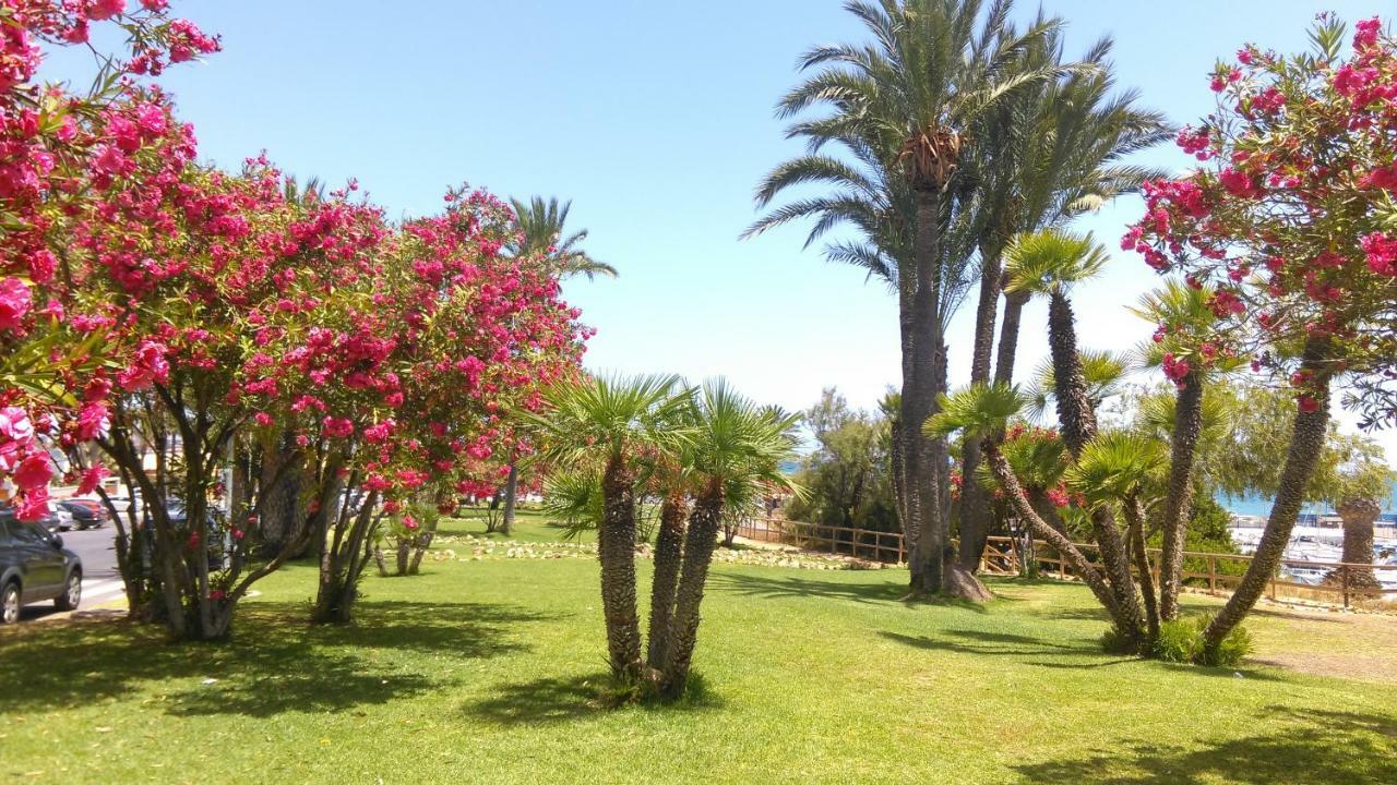 Apartamento "Margarita" Cabo Roig Eksteriør bilde